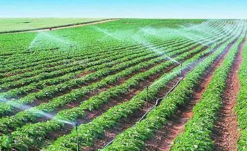 日小骚批农田高 效节水灌溉